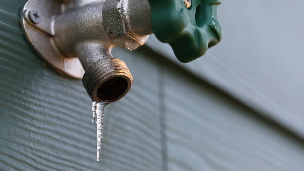 Best Commercial Plumbing Services  in Holtsville, NY